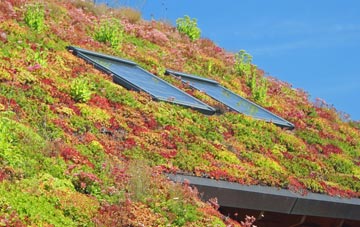 Llanbister living roof systems